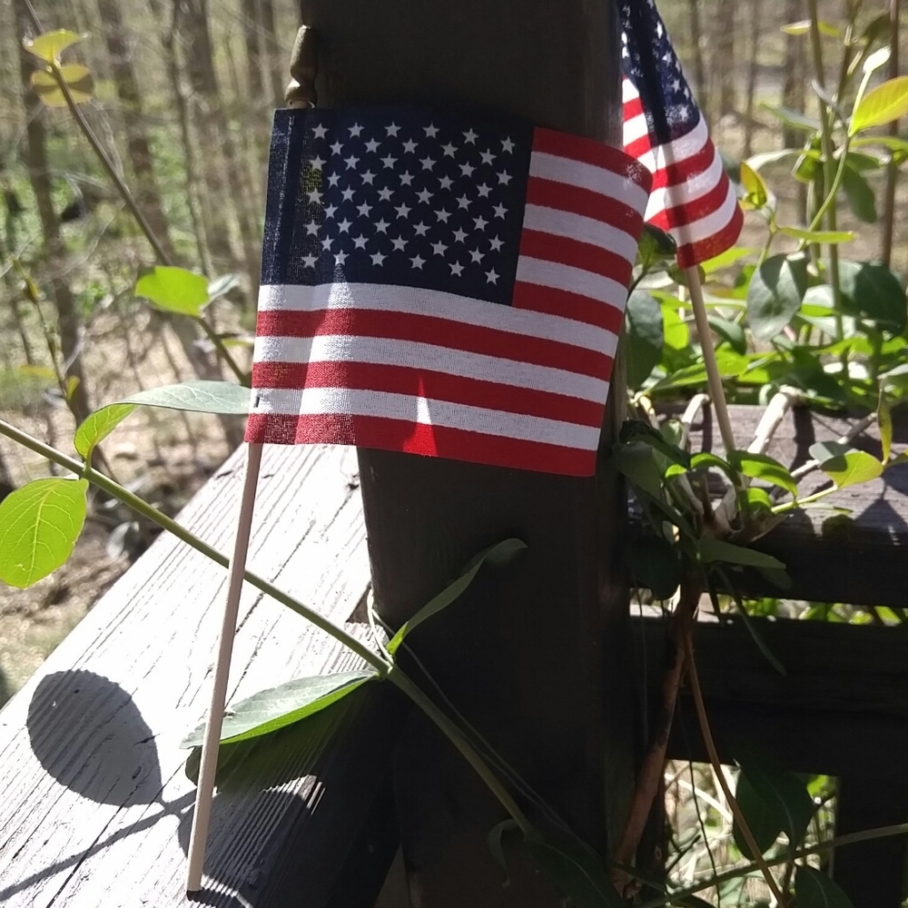 US Flags pk of 24